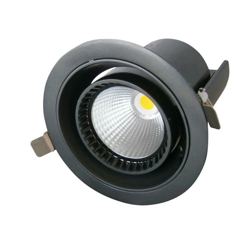 ruotato downlight 30w riflettori su e giù